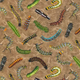 Caterpillar - Brown
