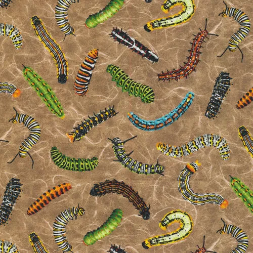 Caterpillar - Brown
