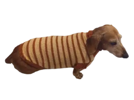 Clothing for dachshunds brown striped sweater for dachshunds