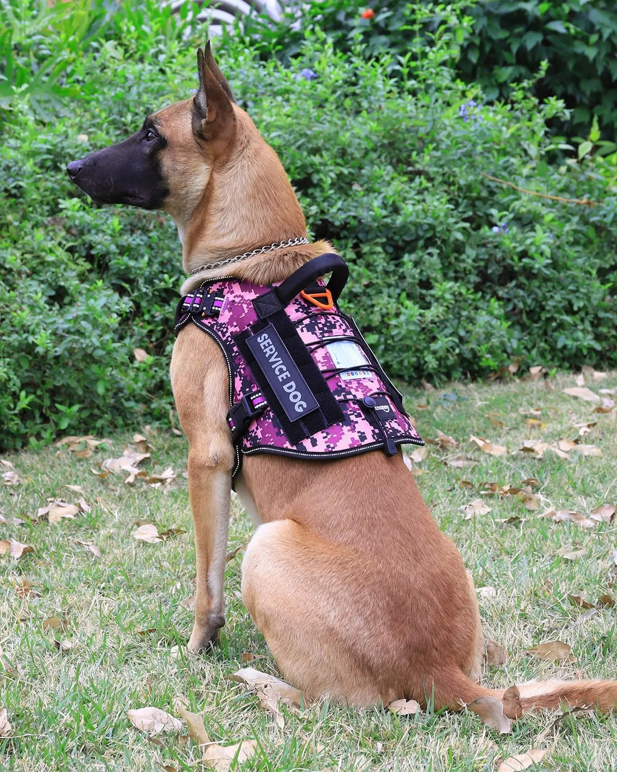 PETNANNY Tactical Dog Harness Reflective with ID Card,Service Dog Vest Harness for Medium Large Dogs,Emotional Support Vest with Padded Handle2 Reflective Patches for Training HuntingPurple Camo,L