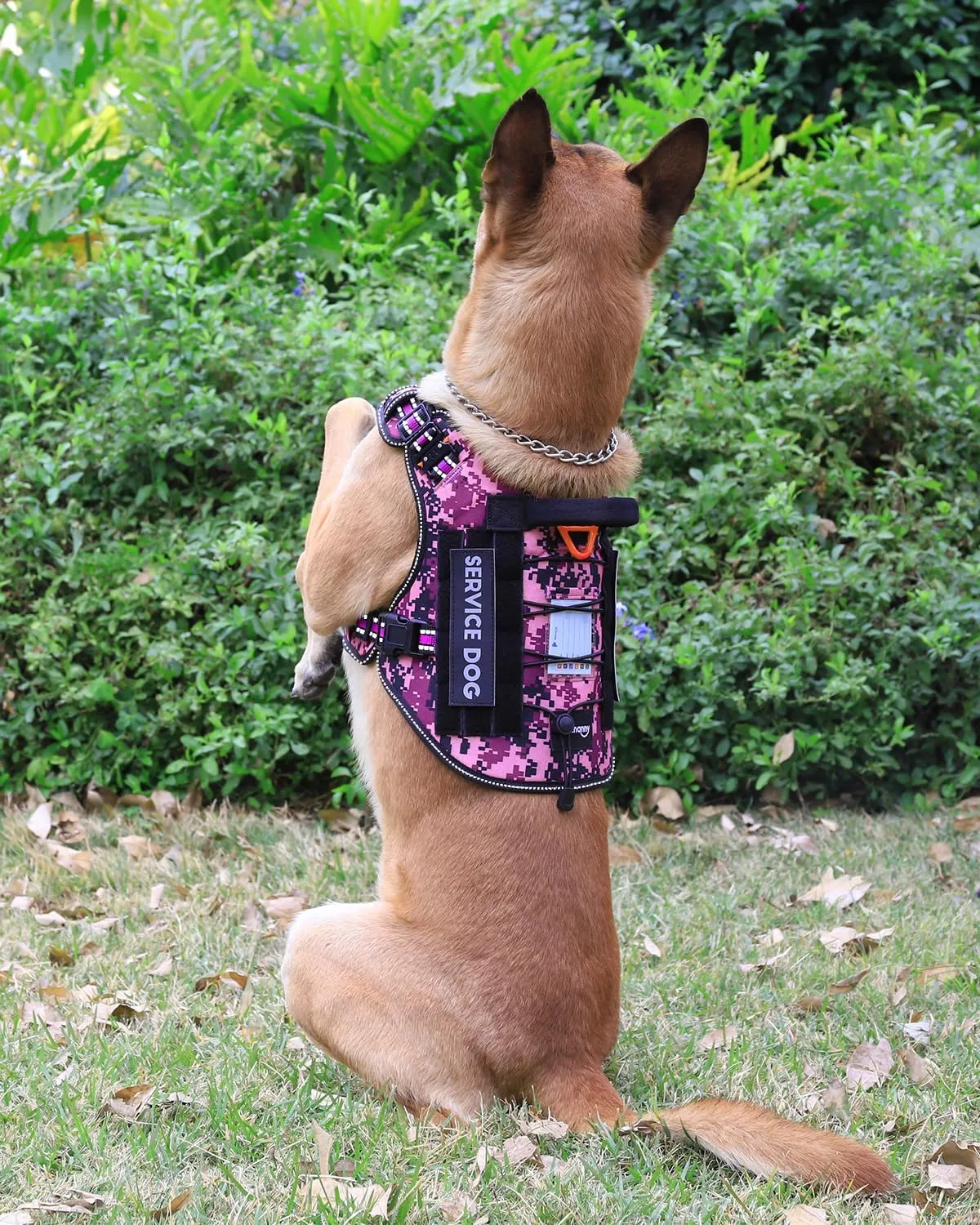 PETNANNY Tactical Dog Harness Reflective with ID Card,Service Dog Vest Harness for Medium Large Dogs,Emotional Support Vest with Padded Handle2 Reflective Patches for Training HuntingPurple Camo,L