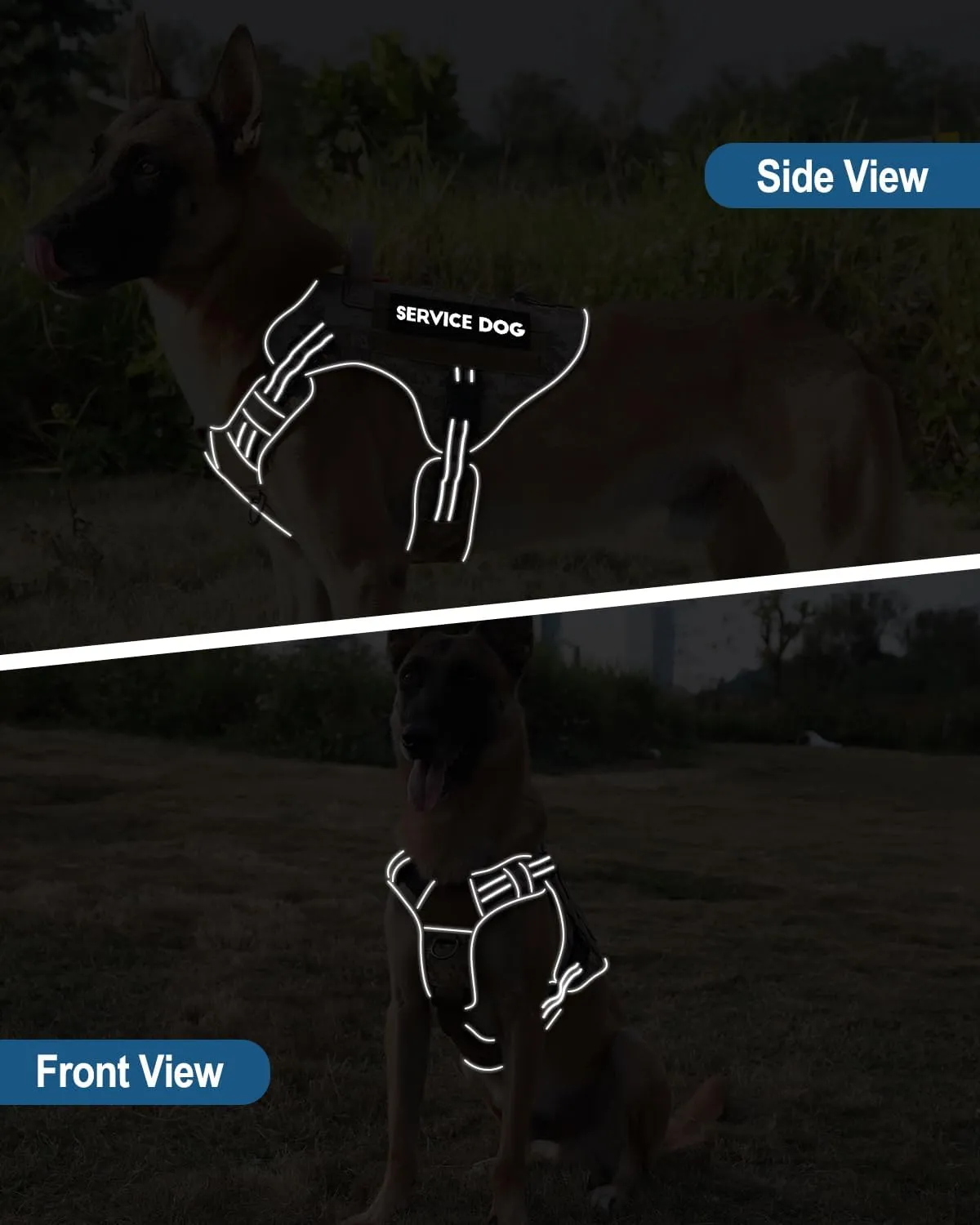 PETNANNY Tactical Dog Harness Reflective with ID Card,Service Dog Vest Harness for Medium Large Dogs,Emotional Support Vest with Padded Handle2 Reflective Patches for Training HuntingPurple Camo,L