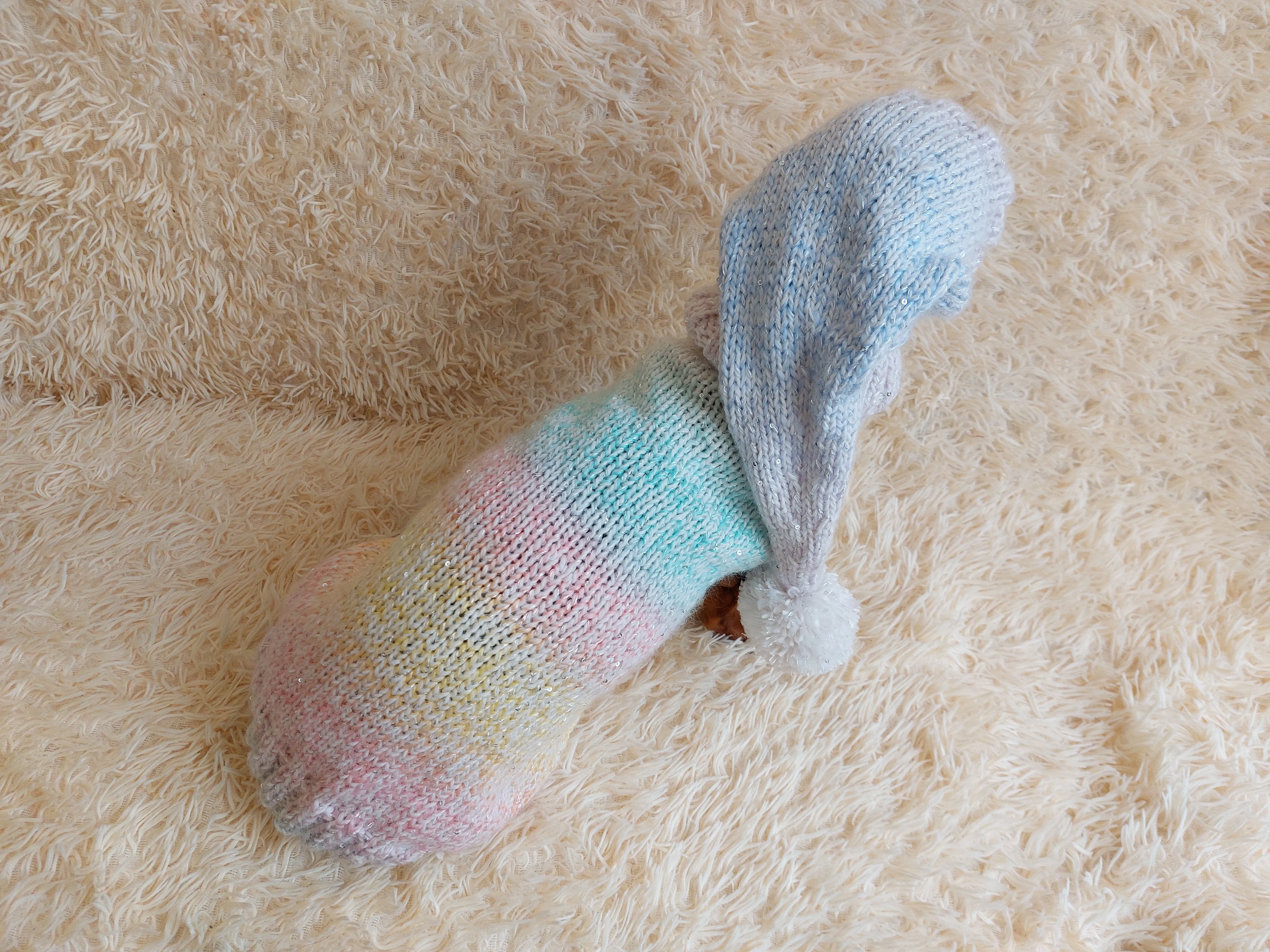 Rainbow Pet Suit Sequined Jumper and Hat