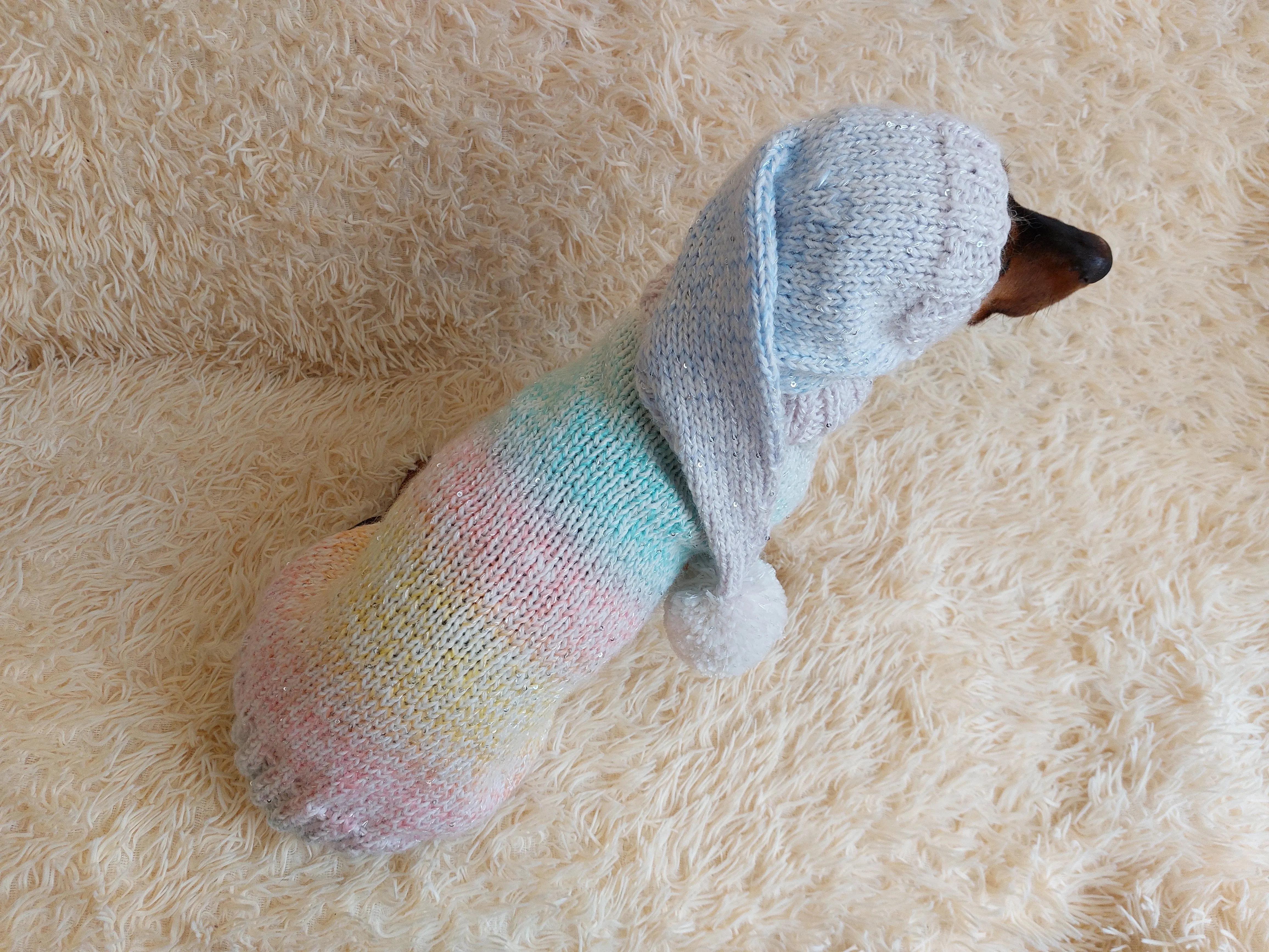 Rainbow Pet Suit Sequined Jumper and Hat