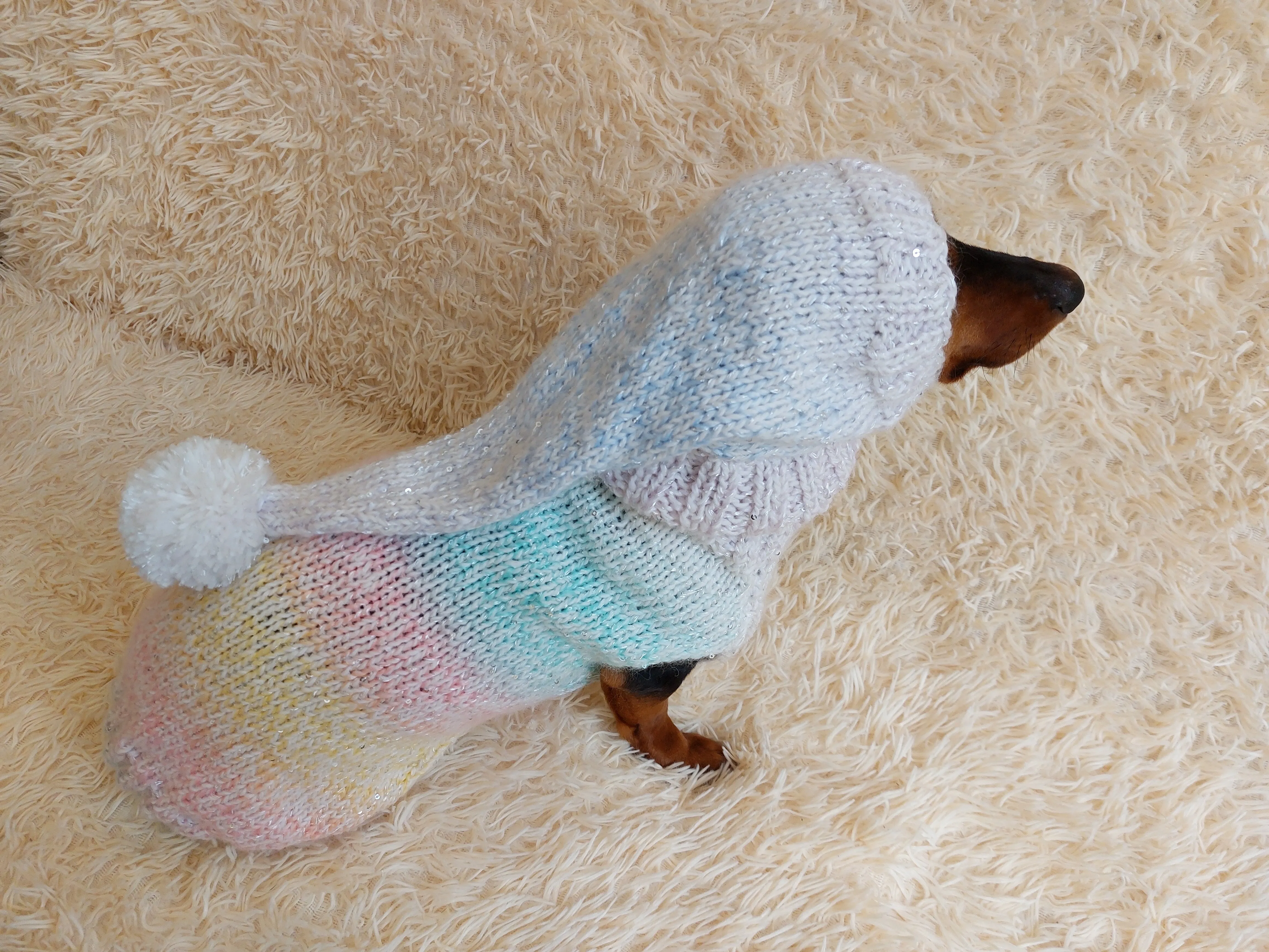 Rainbow Pet Suit Sequined Jumper and Hat