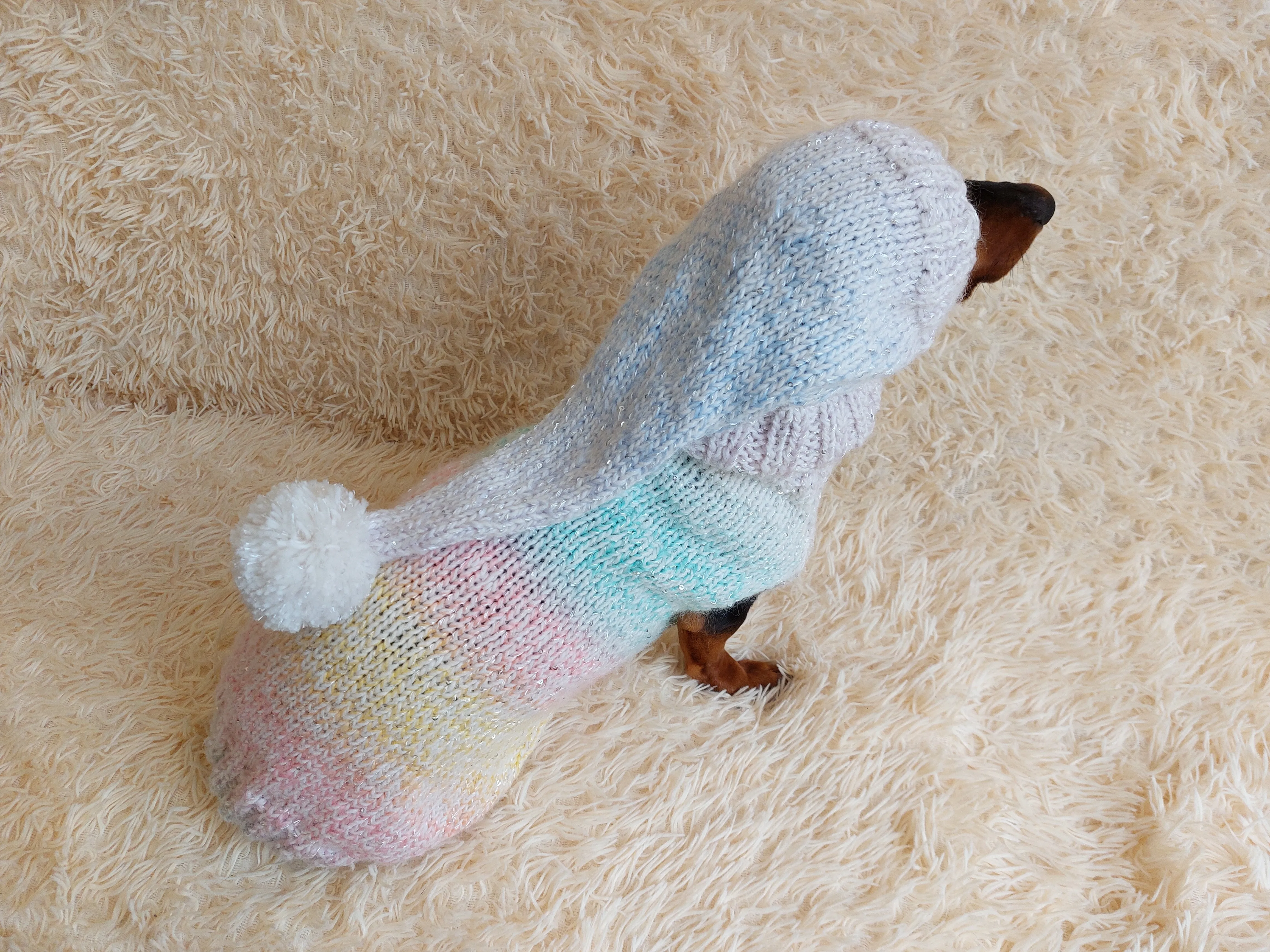 Rainbow Pet Suit Sequined Jumper and Hat