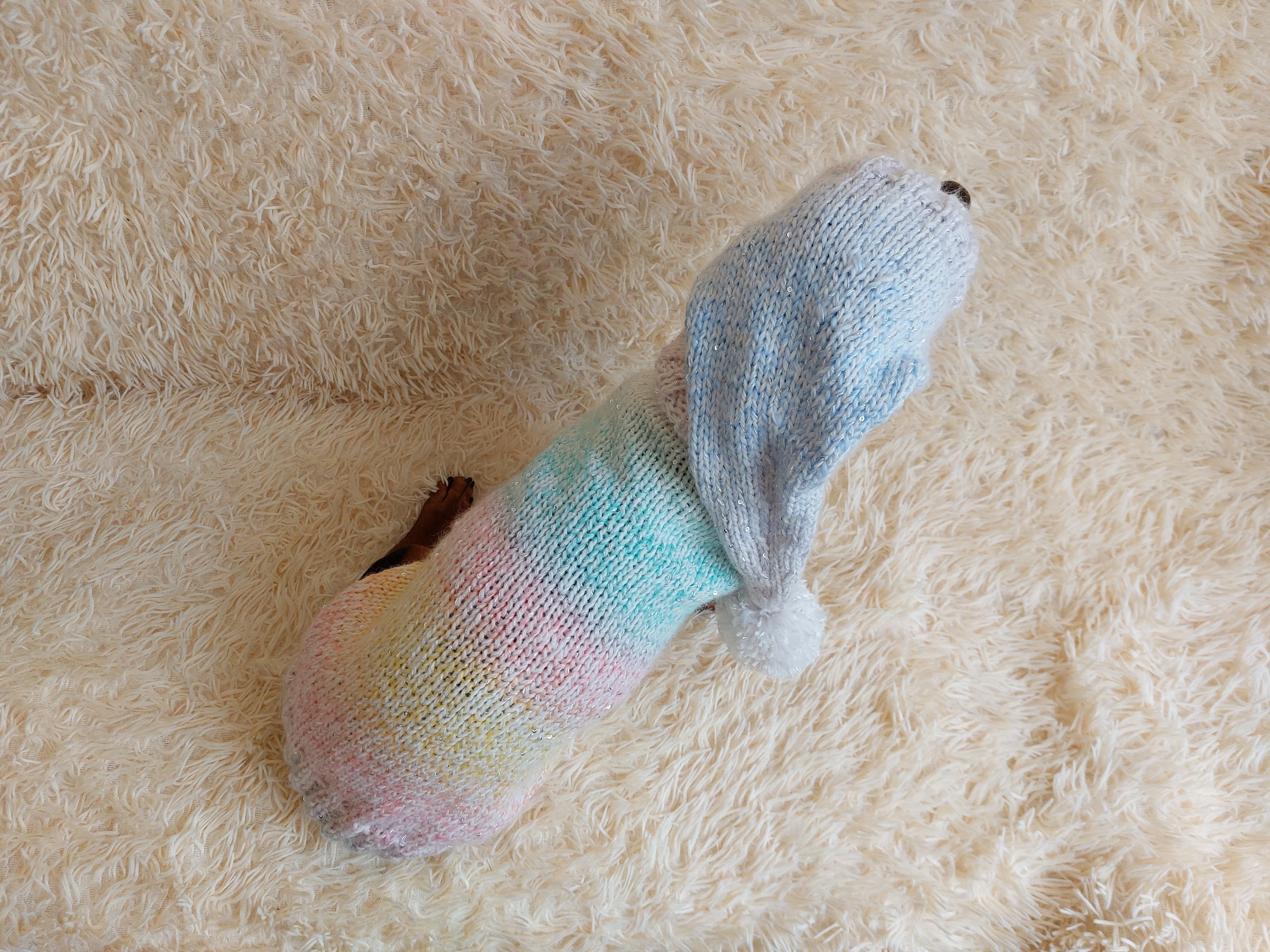 Rainbow Pet Suit Sequined Jumper and Hat