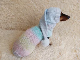 Rainbow Pet Suit Sequined Jumper and Hat