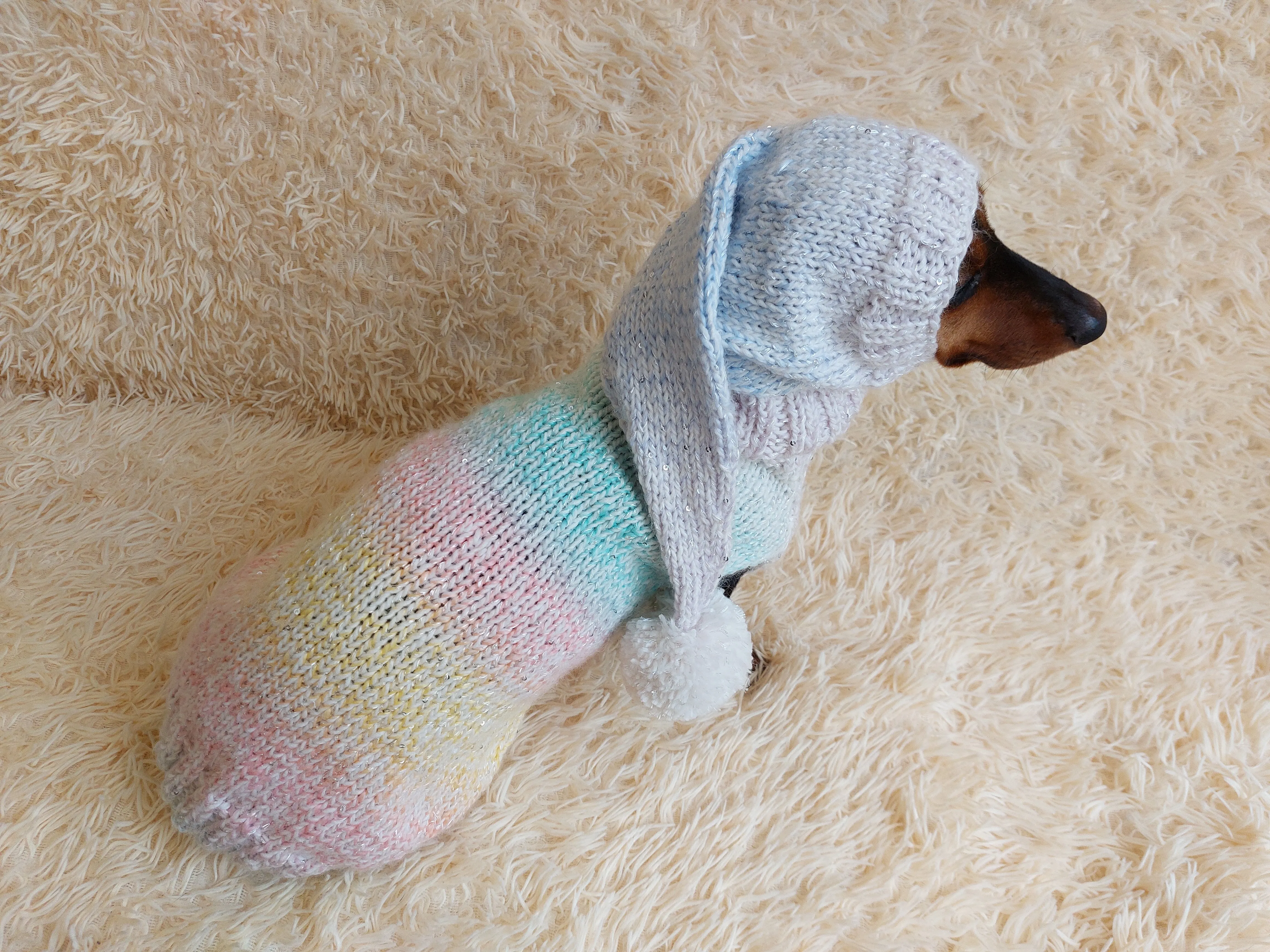 Rainbow Pet Suit Sequined Jumper and Hat